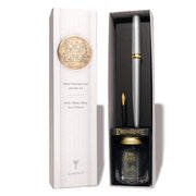 Ferris Wheel Press x The Lord of the Rings Fountain Pen Set with Ink - Gandalf