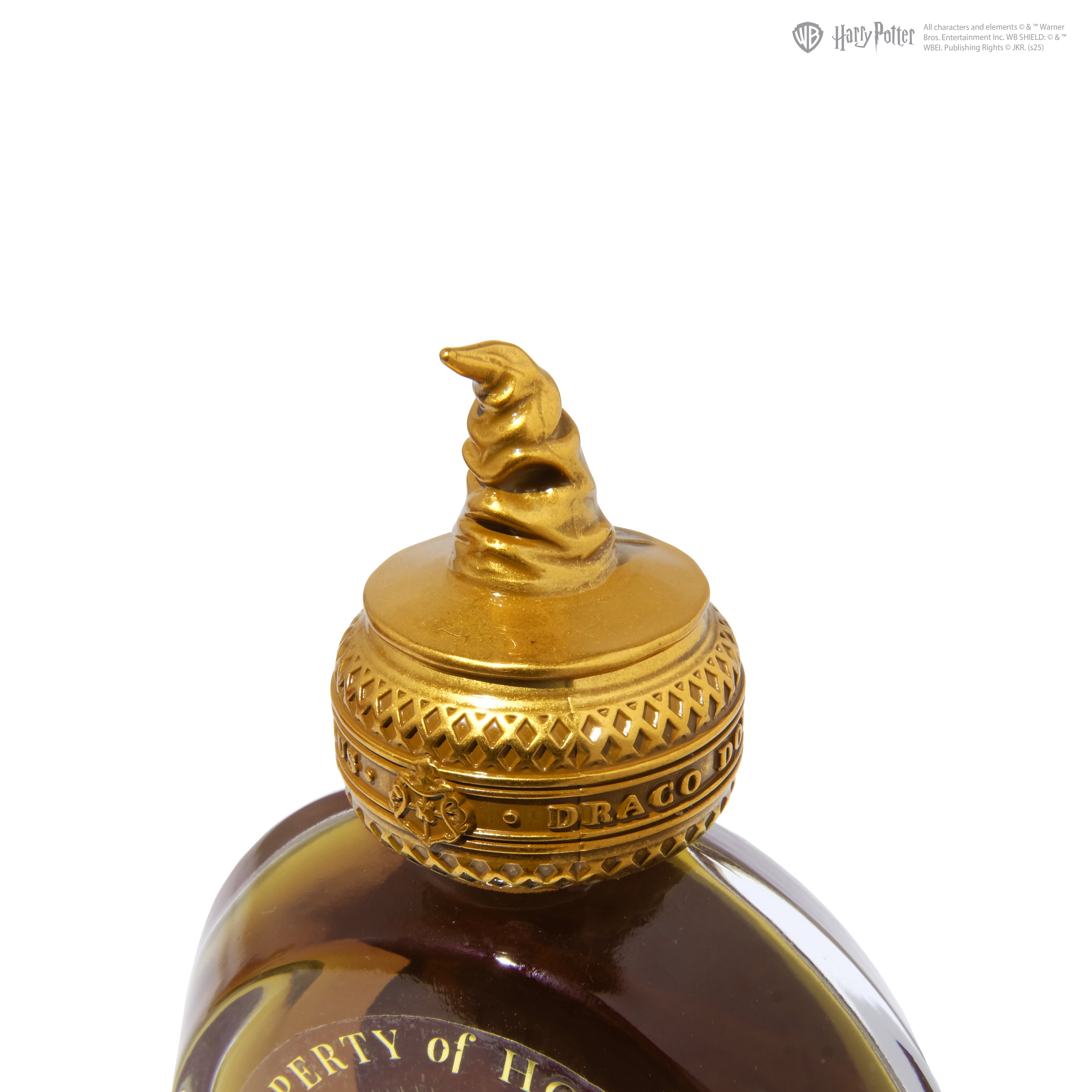 Ferris Wheel Press x Harry Potter 38ml Bottled Ink - The Sorting Hat