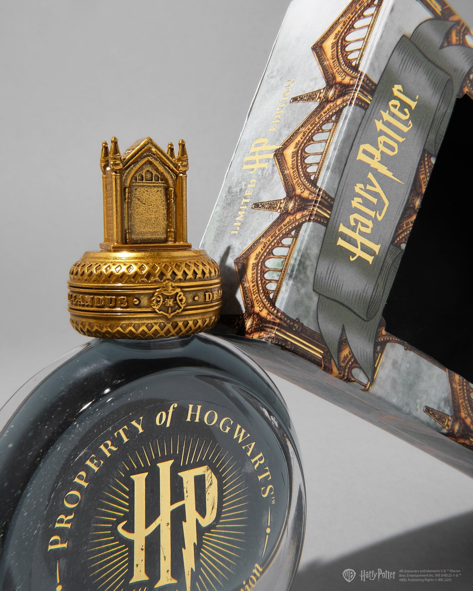 Ferris Wheel Press x Harry Potter 38ml Bottled Ink - The Mirror of Erised